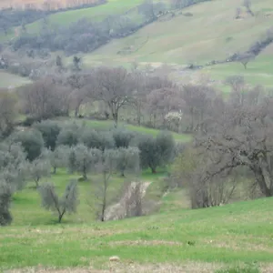 Farma Casa Fibbianello, Semproniano